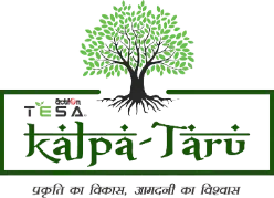 Tesa Kalpa-Taru Vizag